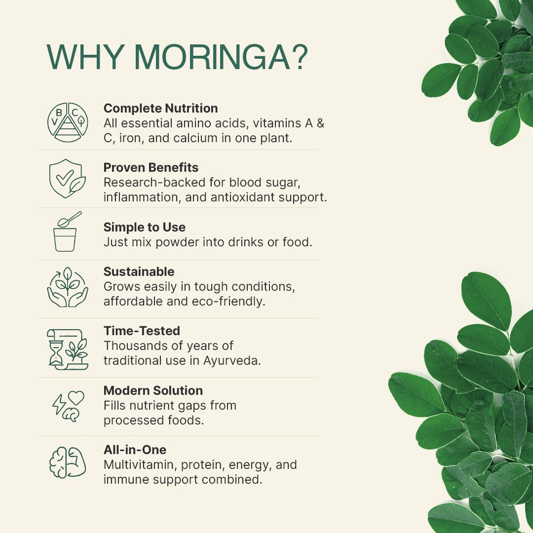 Morning Moringa
